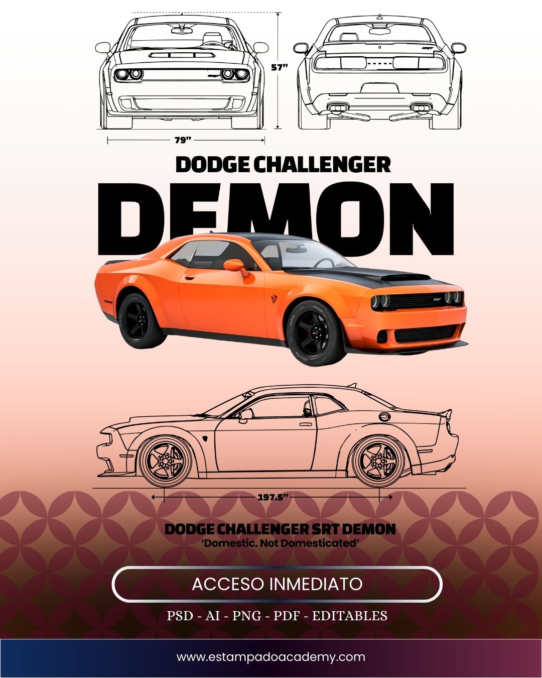 +1.500 Diseños de Autos y Motos 🏎️